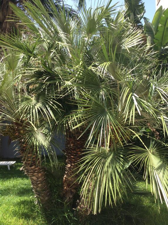 Ucciardhome Hotel Palerme Extérieur photo
